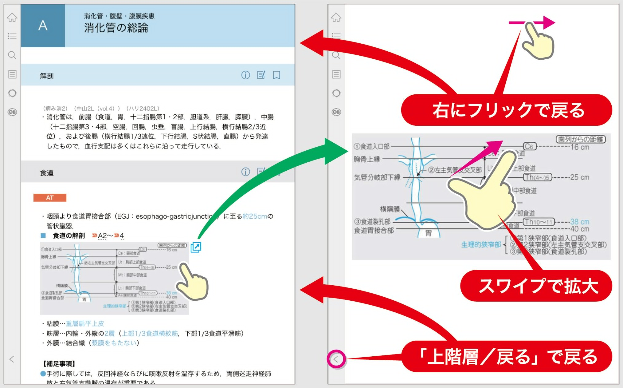 図表の拡大